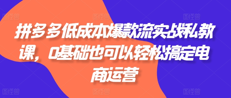 拼多多低成本爆款流实战私教课，0基础也可以轻松搞定电商运营-北少网创